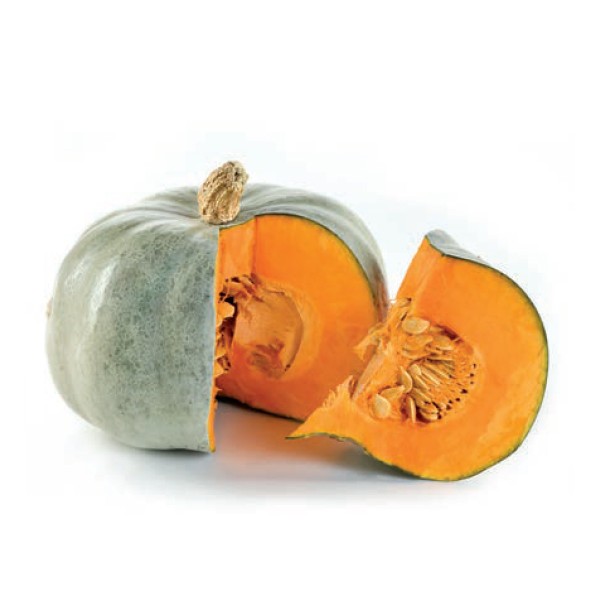 Zucca Vanity