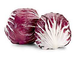 Radicchio rosso tondo Chioggia