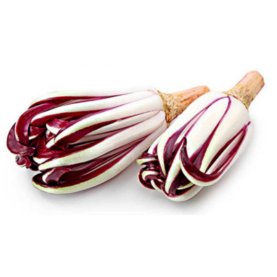 Radicchio tardivo lavato