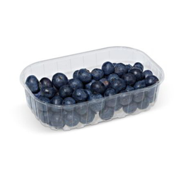 Mirtilli - cestino125g.