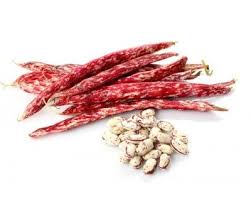 Fagioli freschi